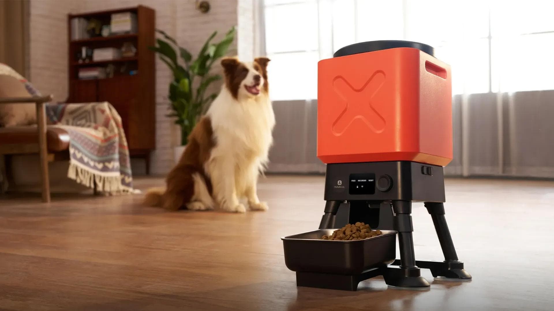 Expeditions in the Amazon: Luxury Pet Products Edition